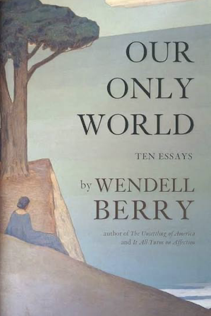 Book cover of Our Only World: Ten Essays